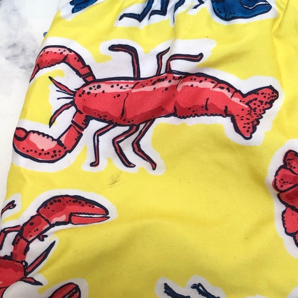 Carter’s Swim Trunks Set of 2 Size 24 months - Picture 3 of 6